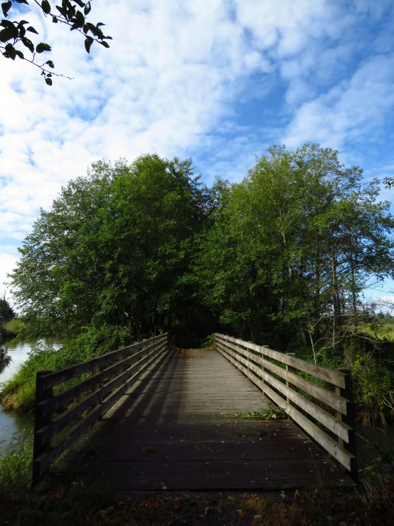 a wooden bridge spanning over a river in the country