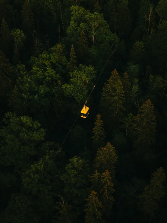 an overhead view of a forest with a tree top view