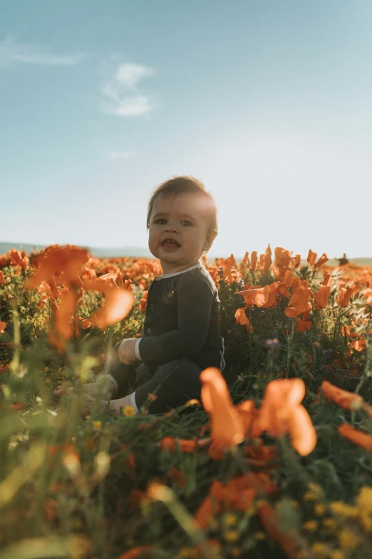 a little boy sitting on top of a flower field