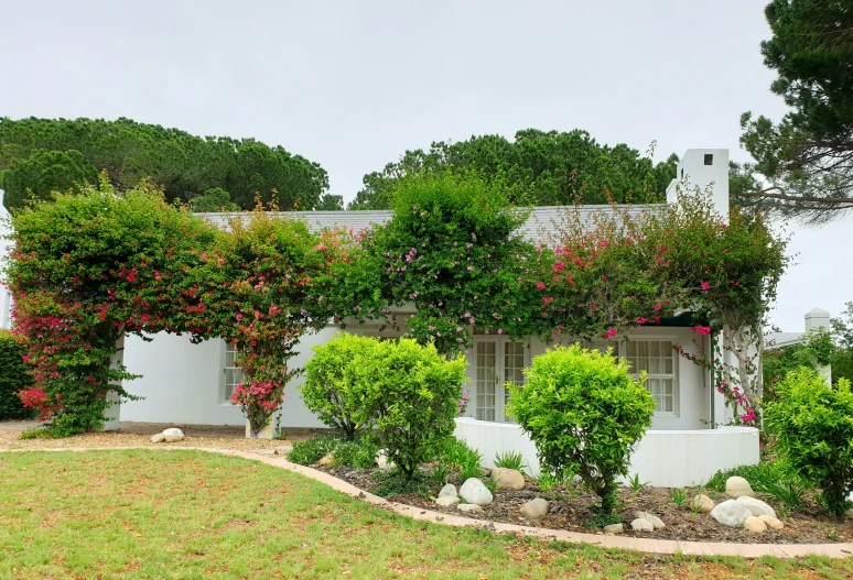 green, flowering bushes and plants around a white house