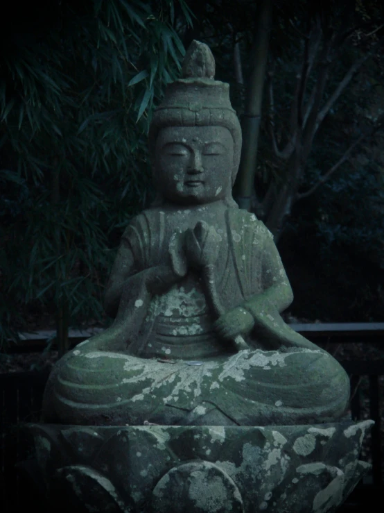 the statue is in front of the tree and the dark sky