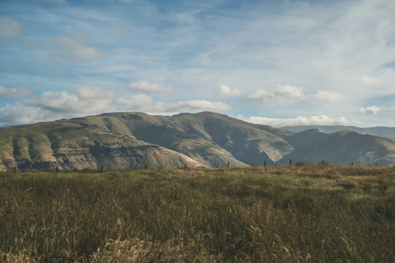 there is a horse standing by the mountain