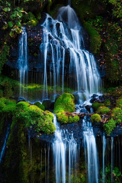 a moss covered waterfall surrounded by green plants