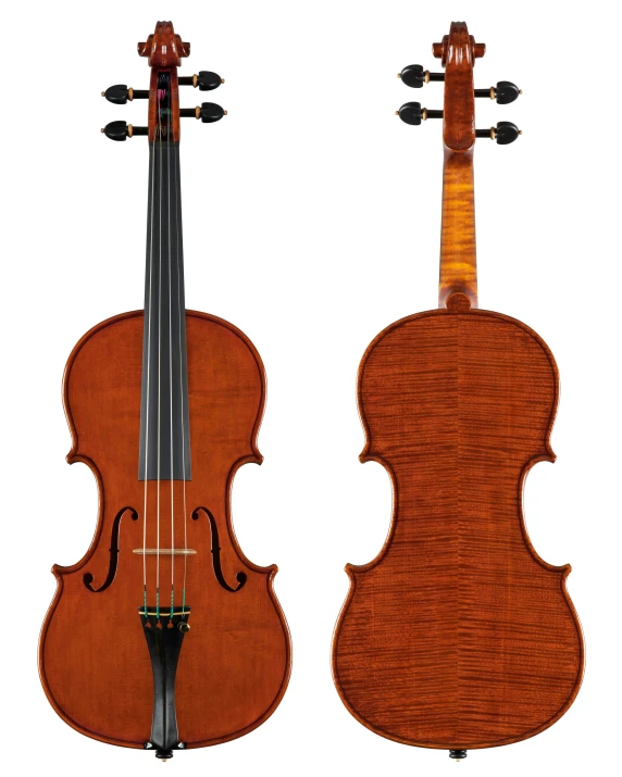 a violin and another musical instrument on a white background