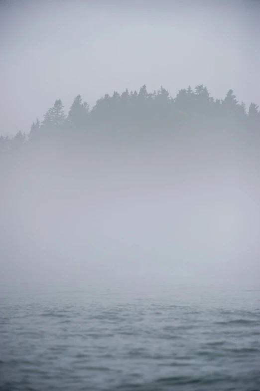 fog hangs over a lake and trees in the distance