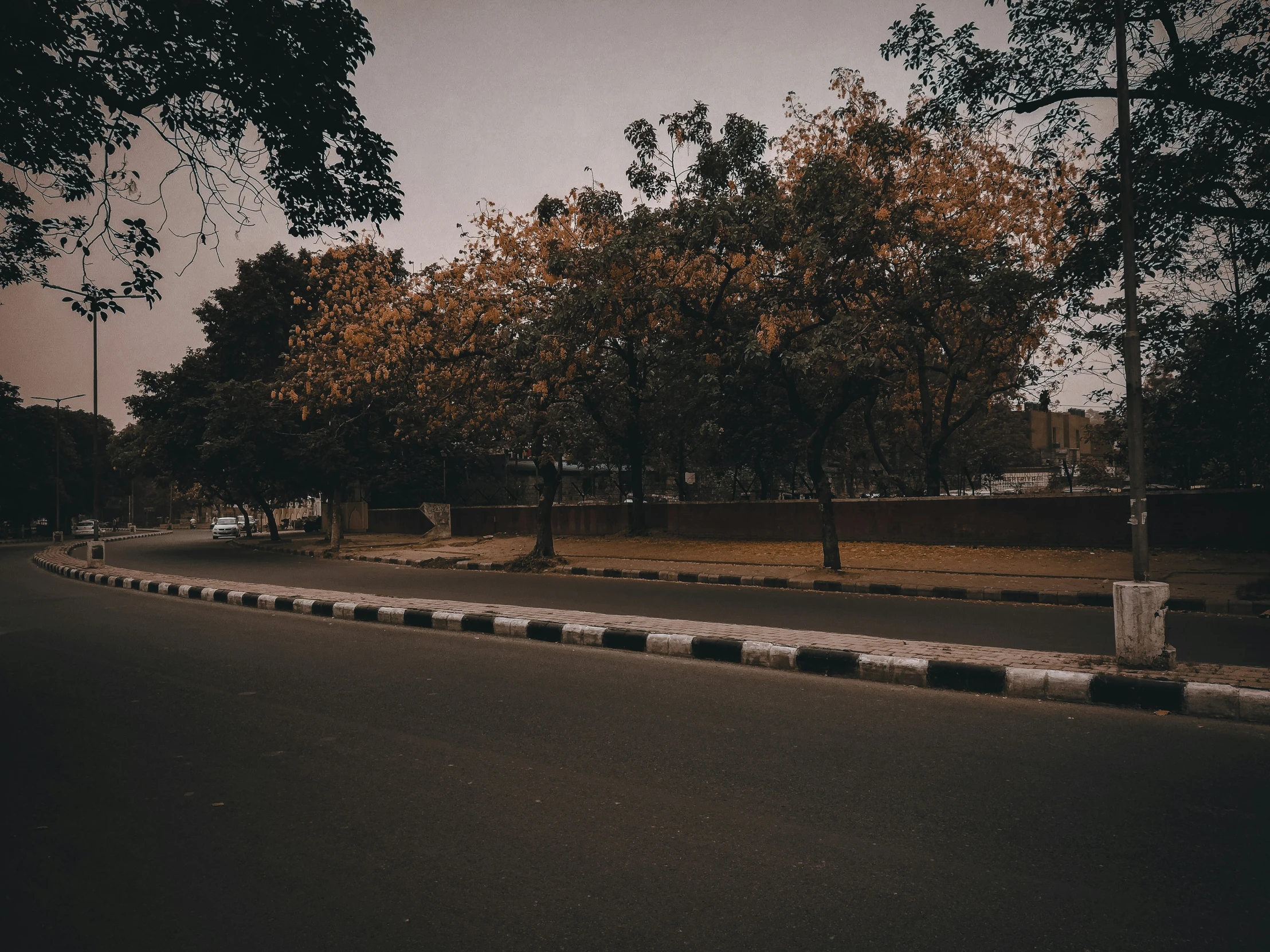 a road is lined with bushes and trees