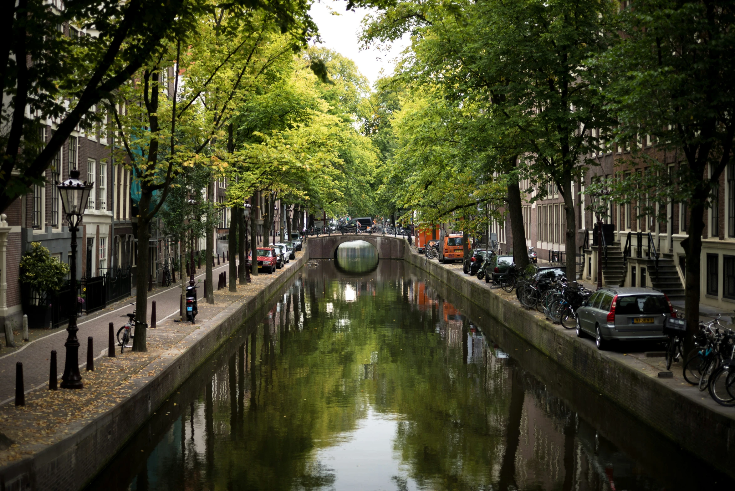 a city canal in the middle of trees