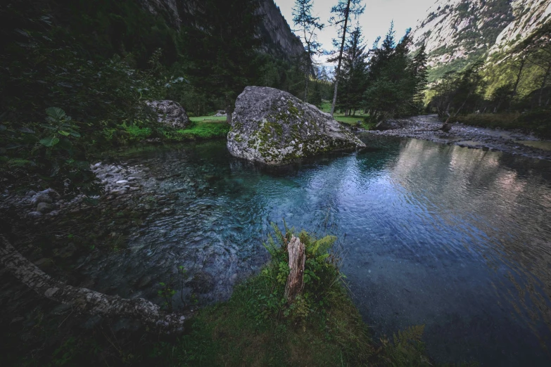 an aerial view of a river running through the forest