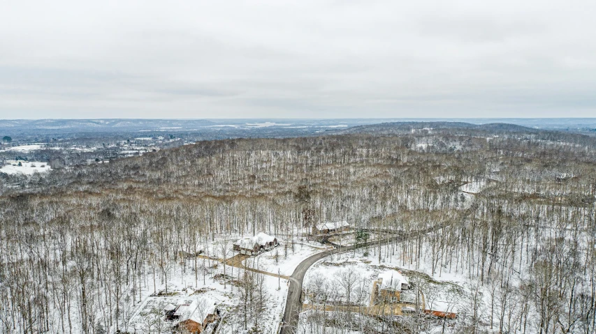 a ski resort surrounded by a forest on a snowy day