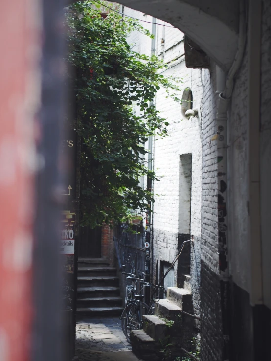 a sidewalk with some steps and trees next to a building