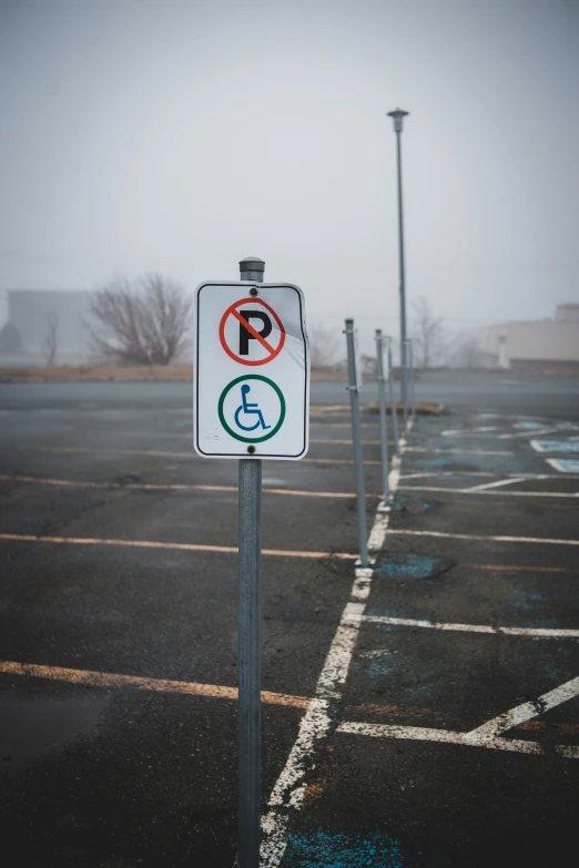 two no parking signs are shown on a foggy day