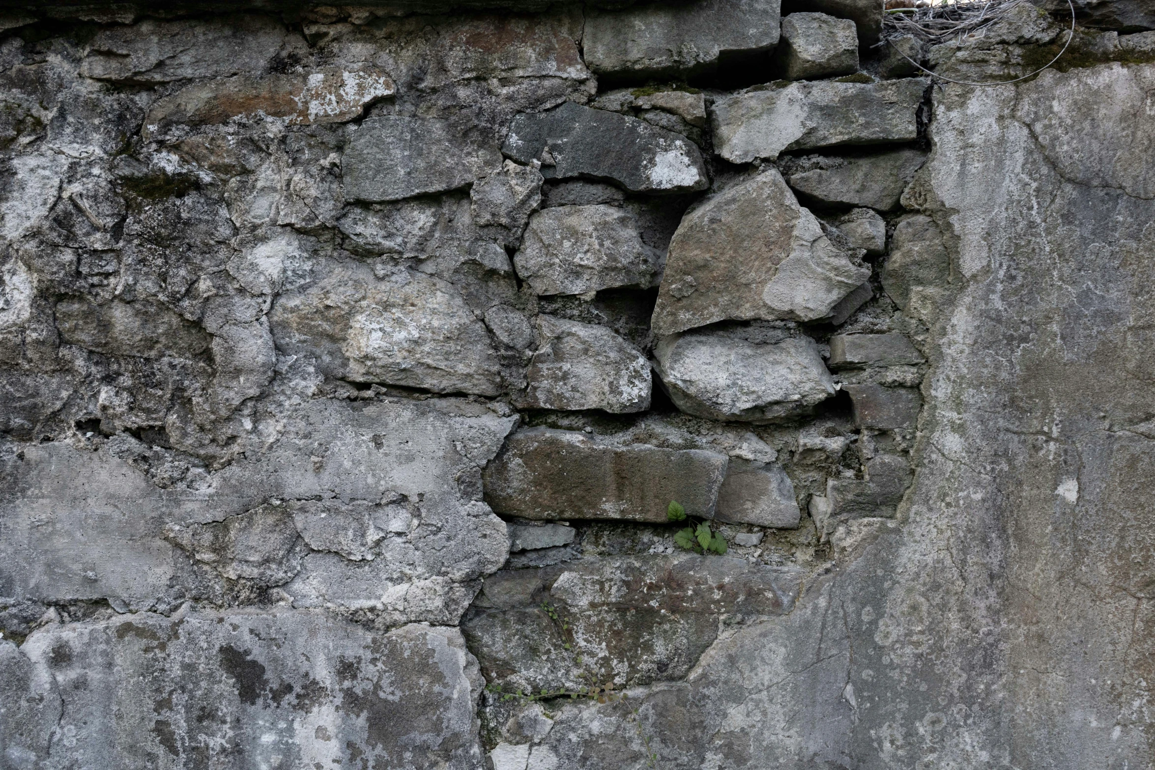 a stone wall with a white bird standing next to it