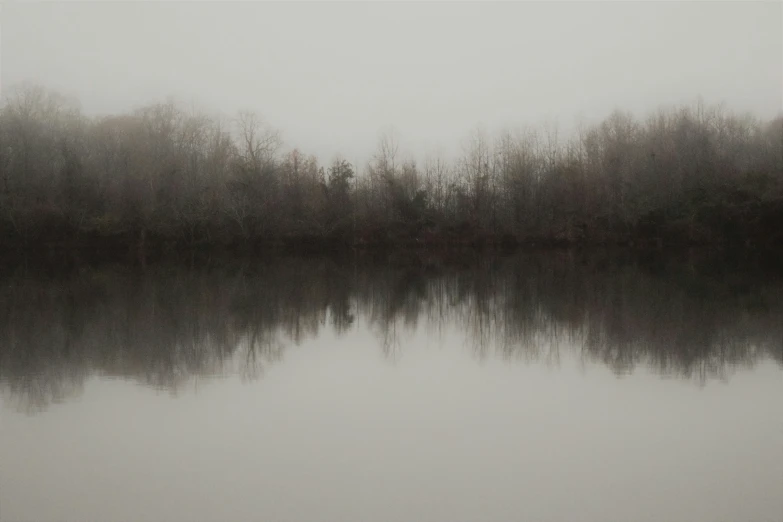 a foggy day on the water and trees