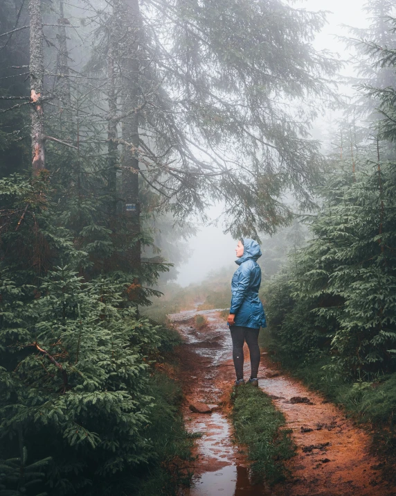 a man in blue jacket walking down a forest path