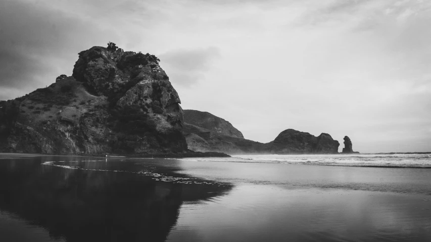 a man is walking along a beach with a dog