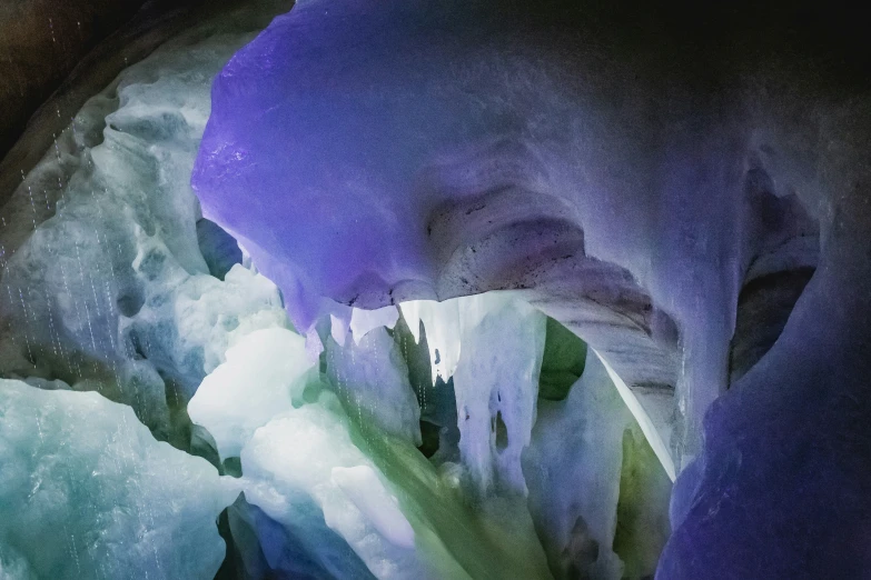 a close up of a purple flower with ice and snow