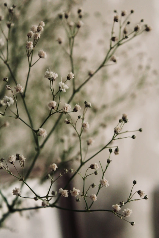 the small flowers are next to a tall vase