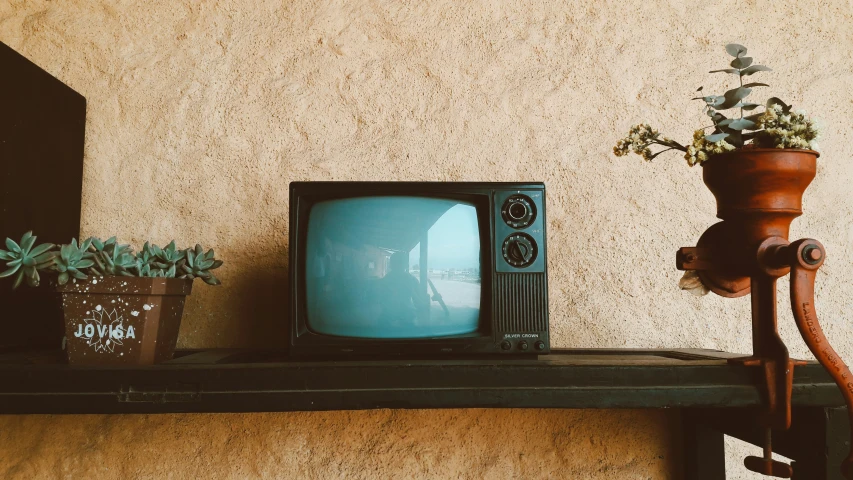 a tv on a shelf with flowers on top