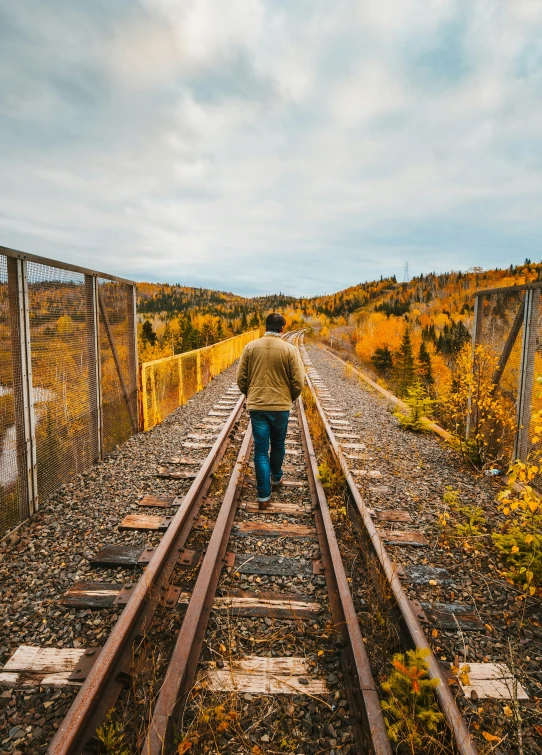 a person walking on train tracks toward trees