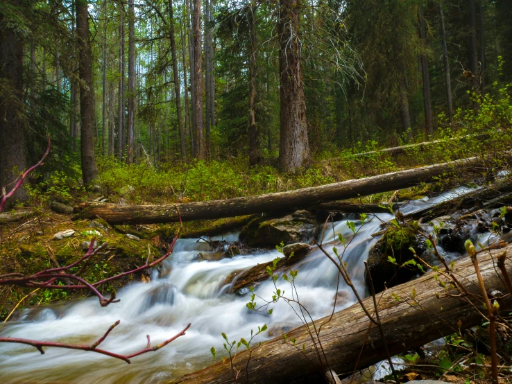 the flow of water is just starting to look pretty