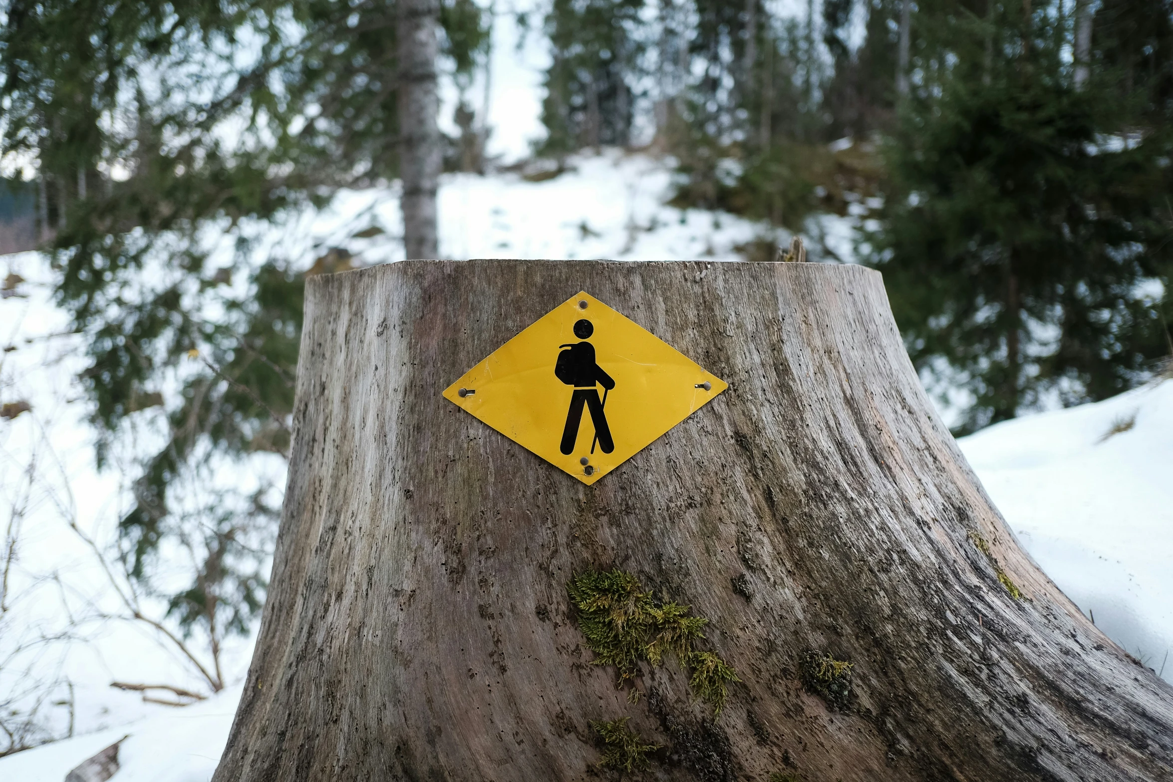 a yellow street sign that is next to a tree