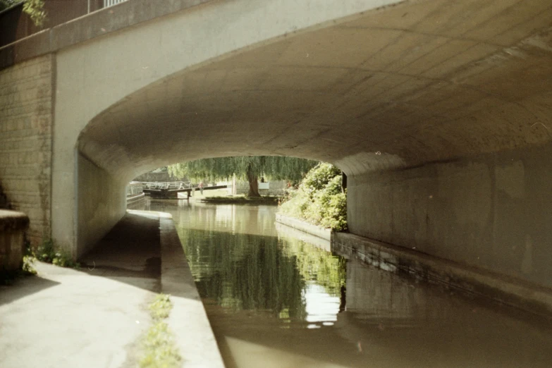 some water under a bridge and plants on the ground