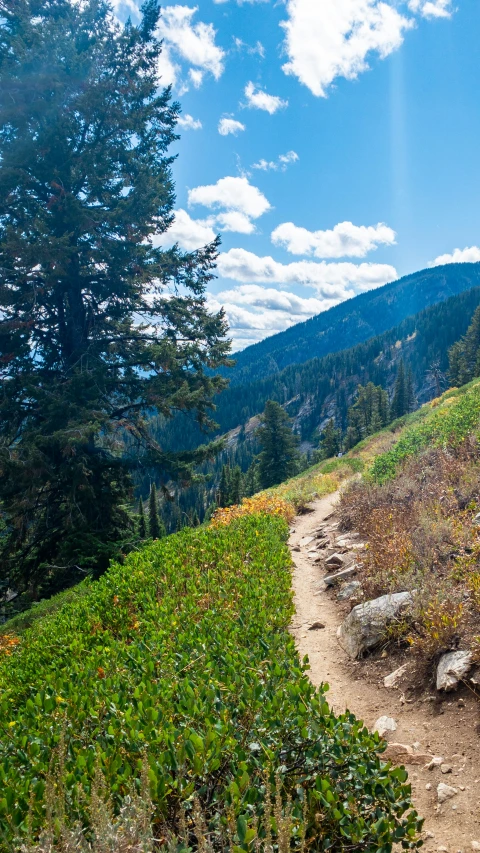 a hike trail winds through a vast mountain landscape