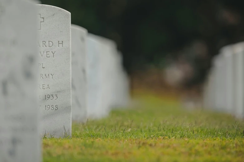 two headstones and a small bird sitting on grass