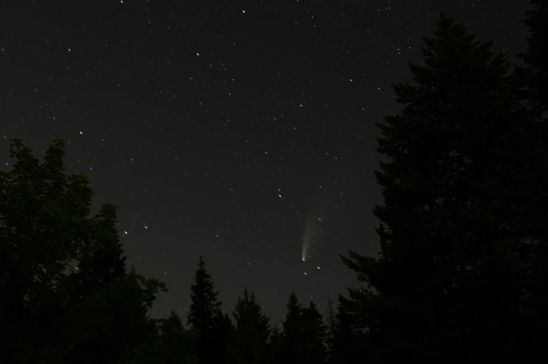 the night sky is glowing with stars and trees