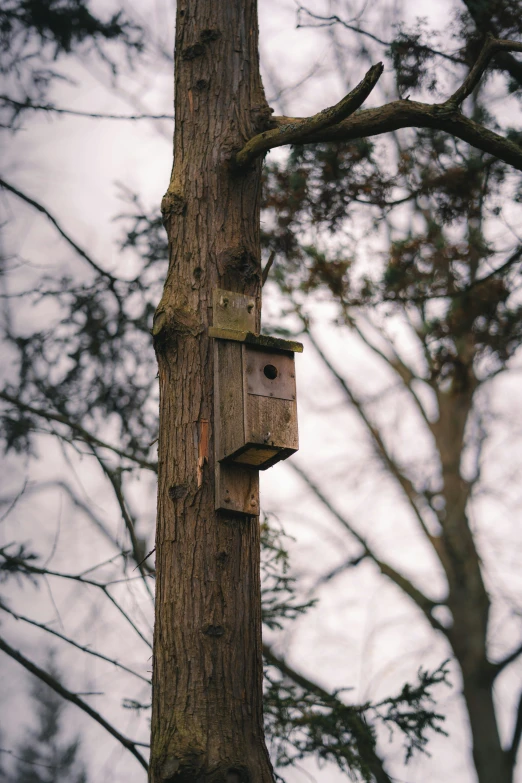 a bird house attached to a tree nch