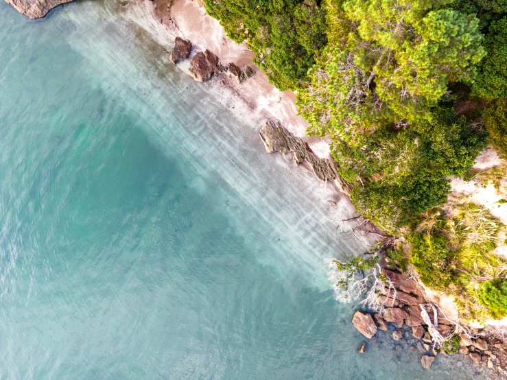 the top view of a long narrow body of water with trees growing next to it