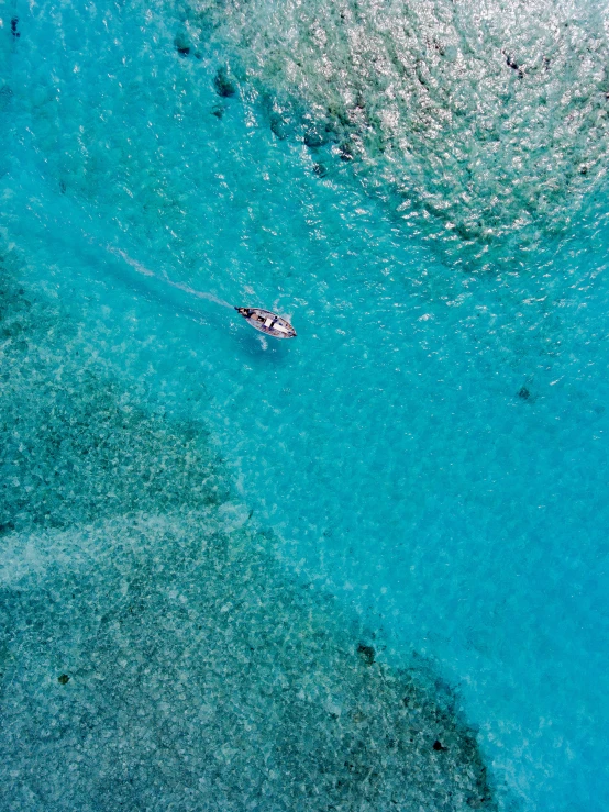 a po taken above of a person in a canoe on clear blue waters