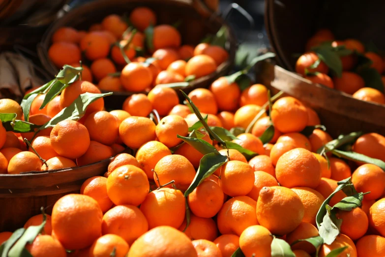 some oranges that are in brown buckets