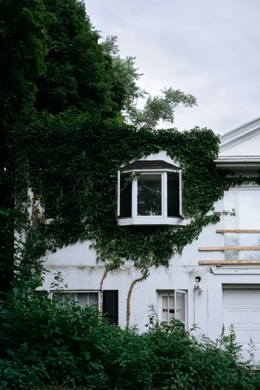 a white building with ivy on the side