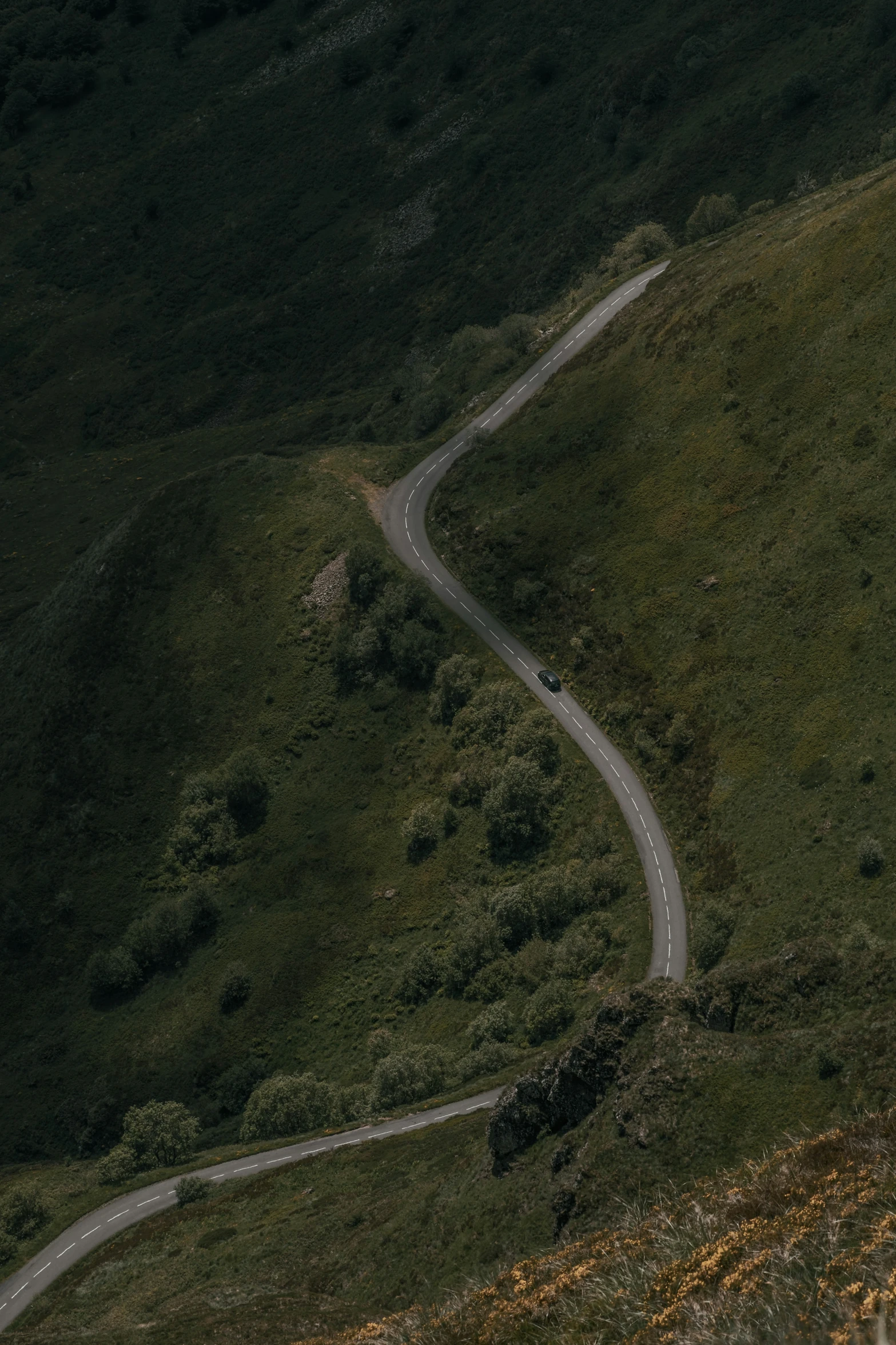 a road winding up a hill in the rain