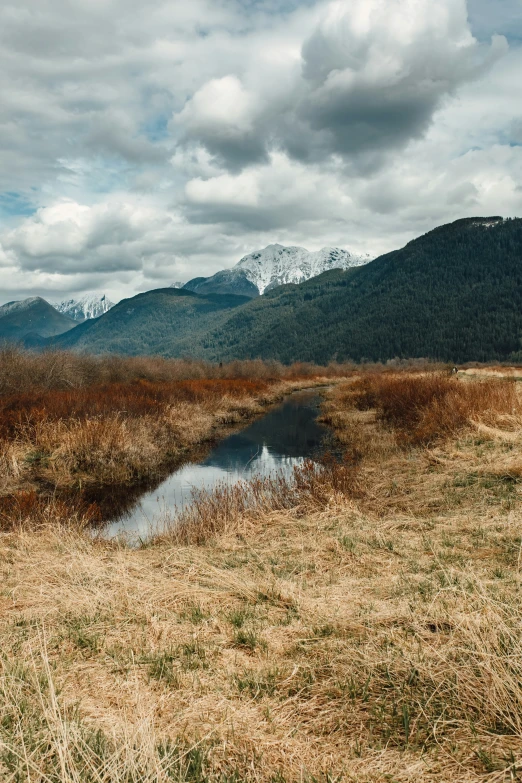 a stream running through a dry grass field