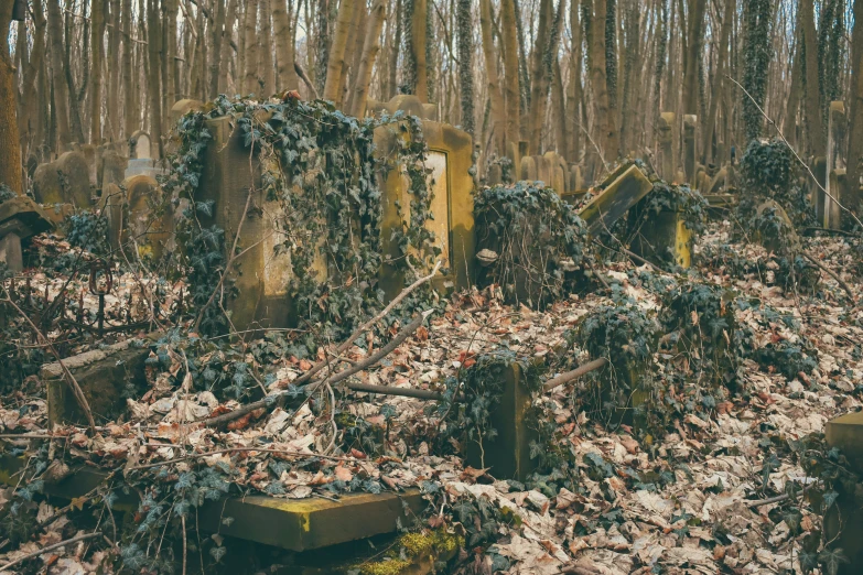 an image of a very big graveyard covered in ivy