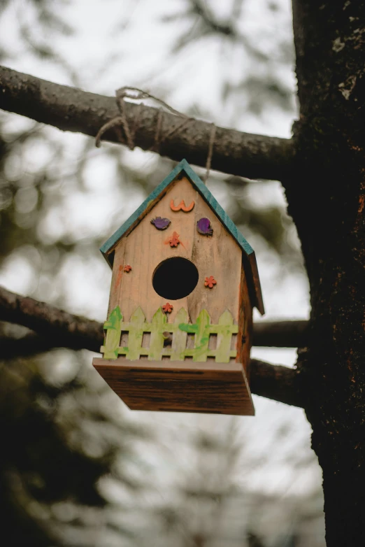 the bird house is hanging on a tree nch