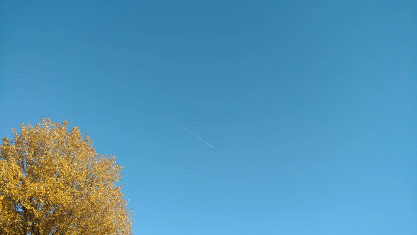 a single plane flying through the clear blue sky