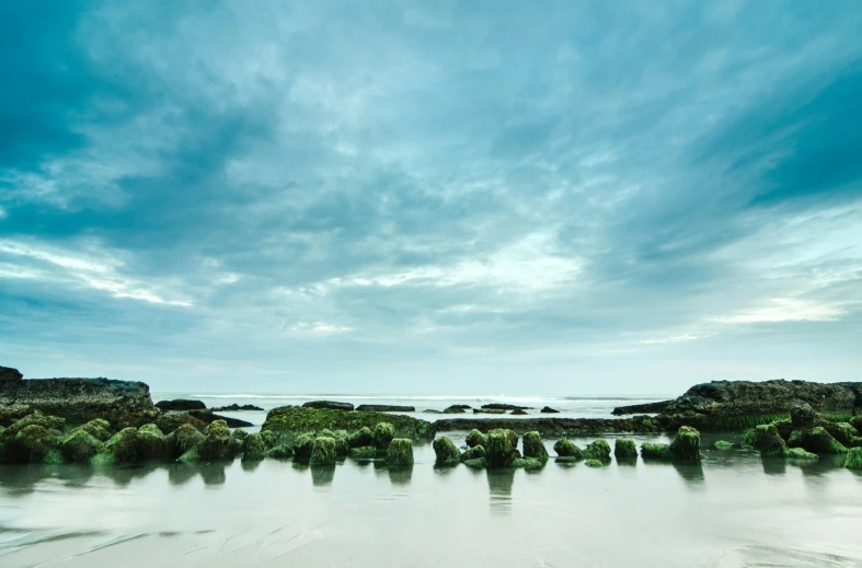 landscape pograph of the ocean in low tide