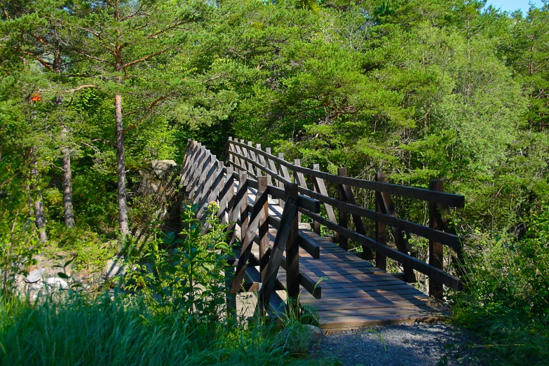 a pedestrian walking bridge in a forest is very nice