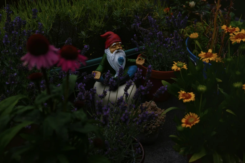 gnome on pot in garden with flowers behind