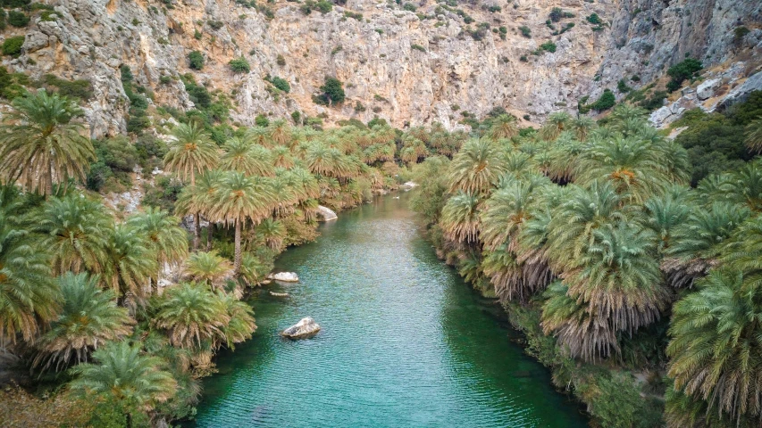 a lake surrounded by mountains covered in plants