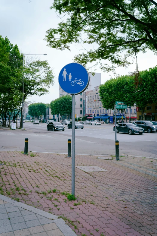 a blue street sign in front of some parking spaces