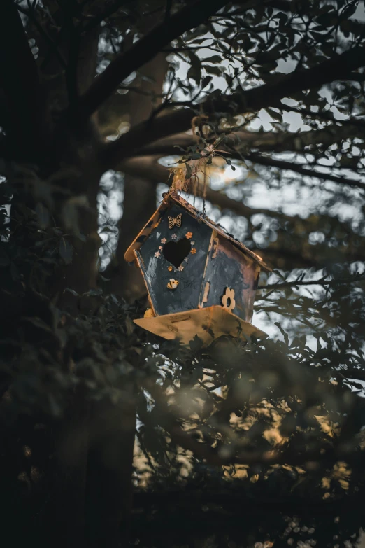 the blue birdhouse is in a tree and has a small window