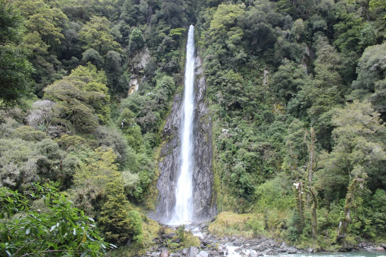 the waterfall is high above the surrounding trees