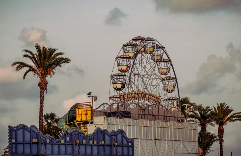 a large ferris wheel sitting above the palm trees