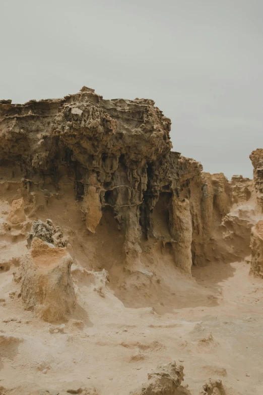 an animal stands on a rock formation with sand and gravel