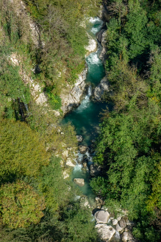 a view of the water from above in a forest