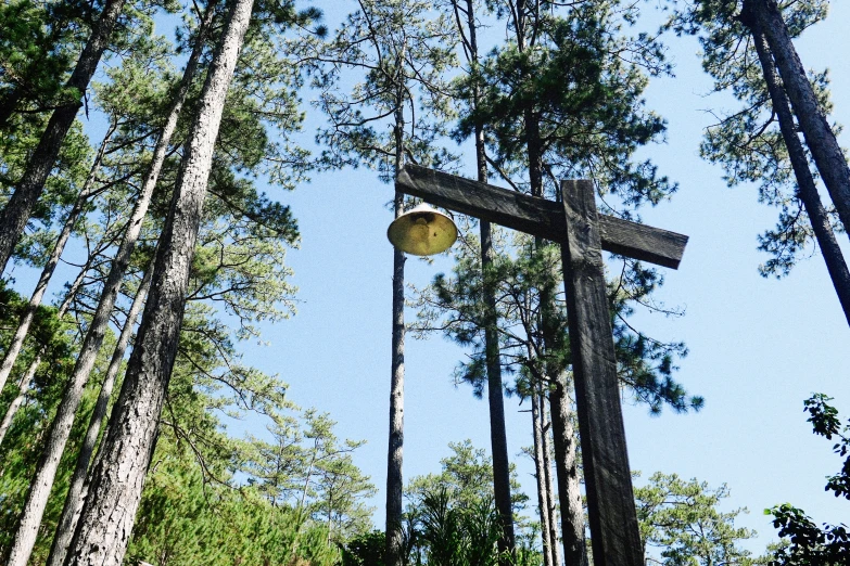 a wooden cross sitting between two trees in a forest